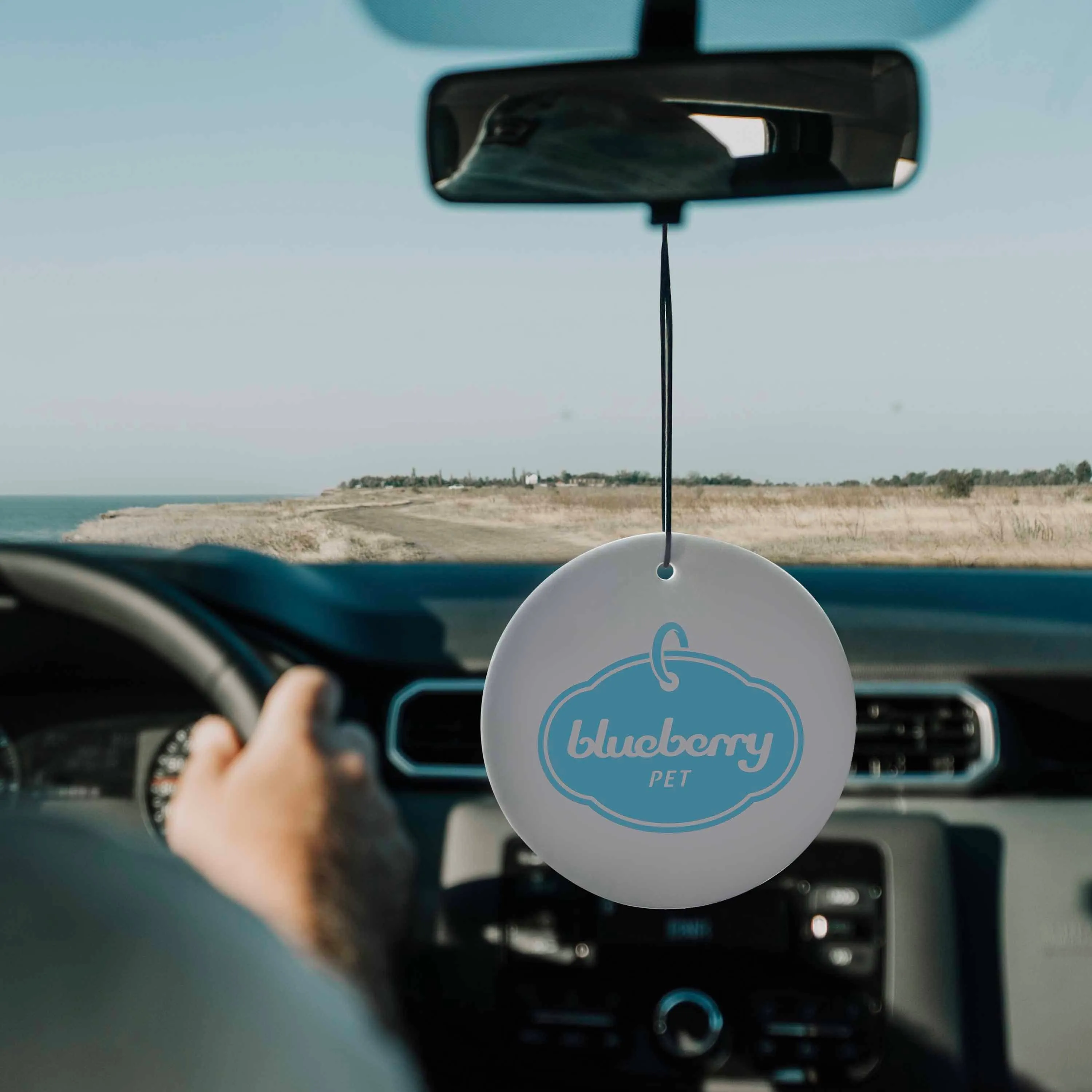 6 Pack Car Air Fresheners, Ocean/Green Forest/Cherry Blossom Scented