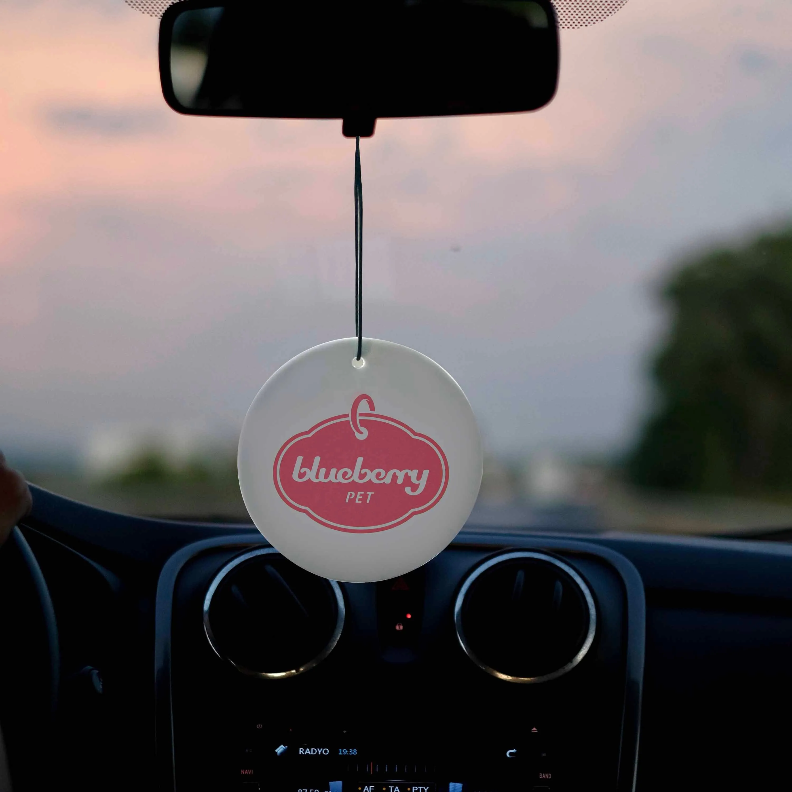 6 Pack Car Air Fresheners, Ocean/Green Forest/Cherry Blossom Scented