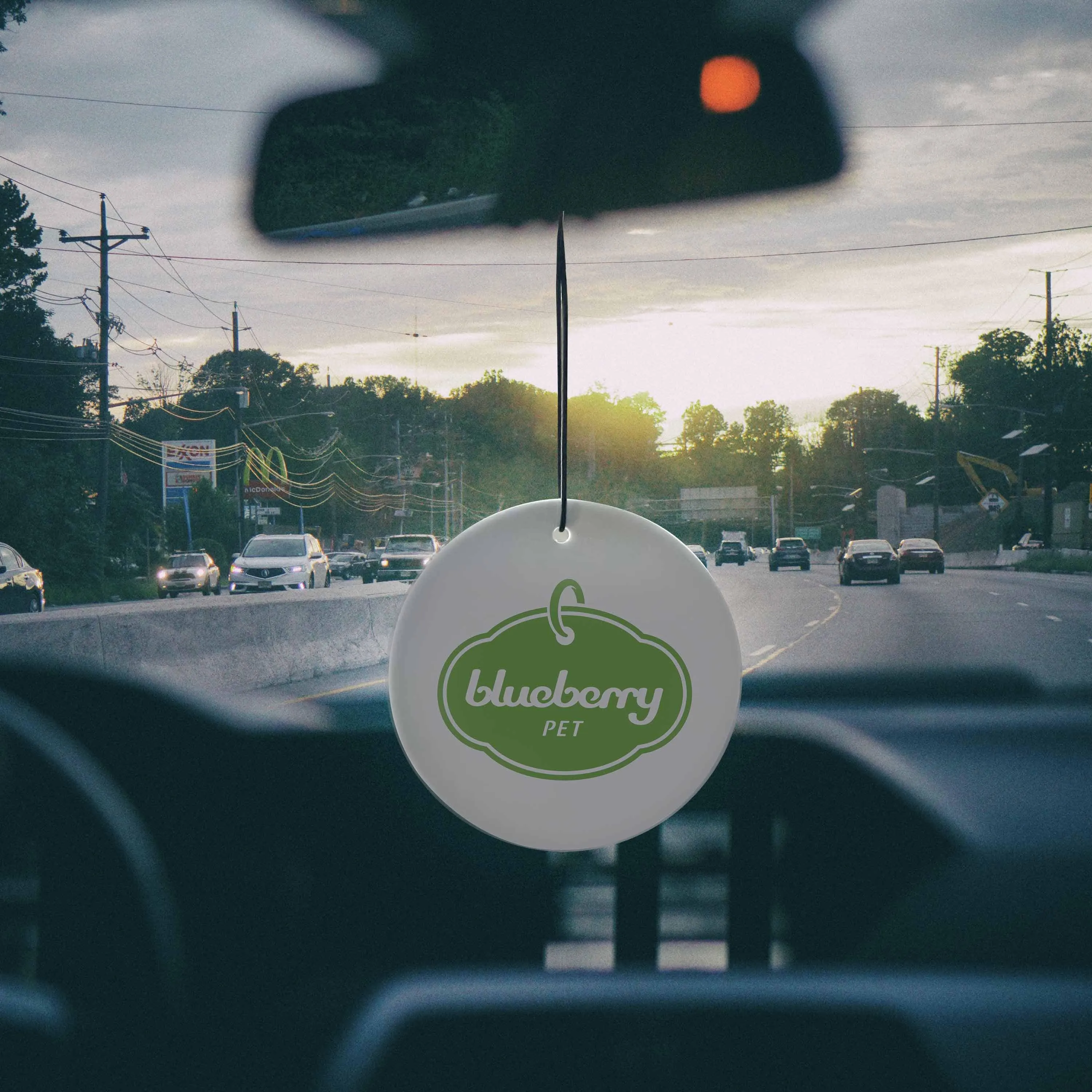 6 Pack Car Air Fresheners, Ocean/Green Forest/Cherry Blossom Scented