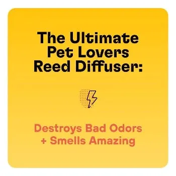 Pet Odor Eliminating Non-Toxic Scented Reed Diffuser