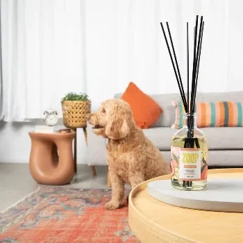 Pet Odor Eliminating Non-Toxic Scented Reed Diffuser